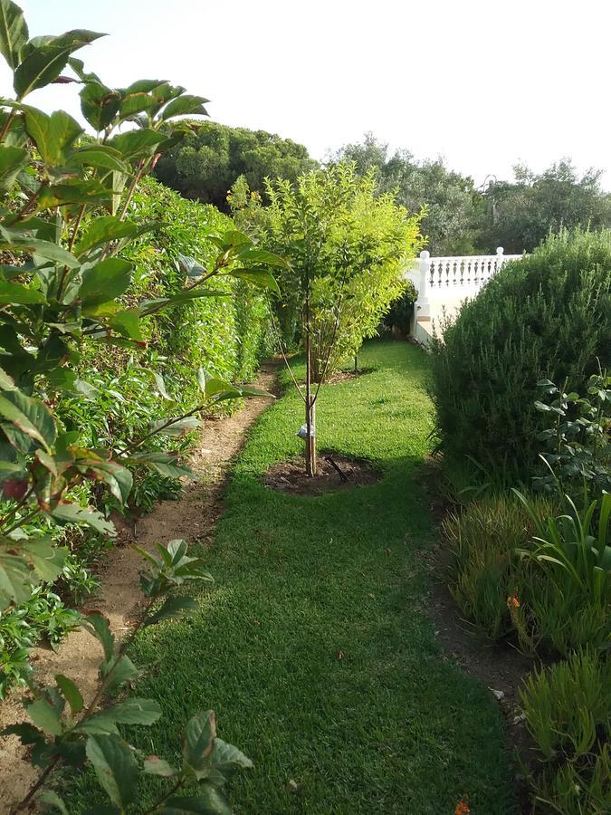 Bed and Breakfast Casa Cereja 'Adults Only' à Albufeira Extérieur photo
