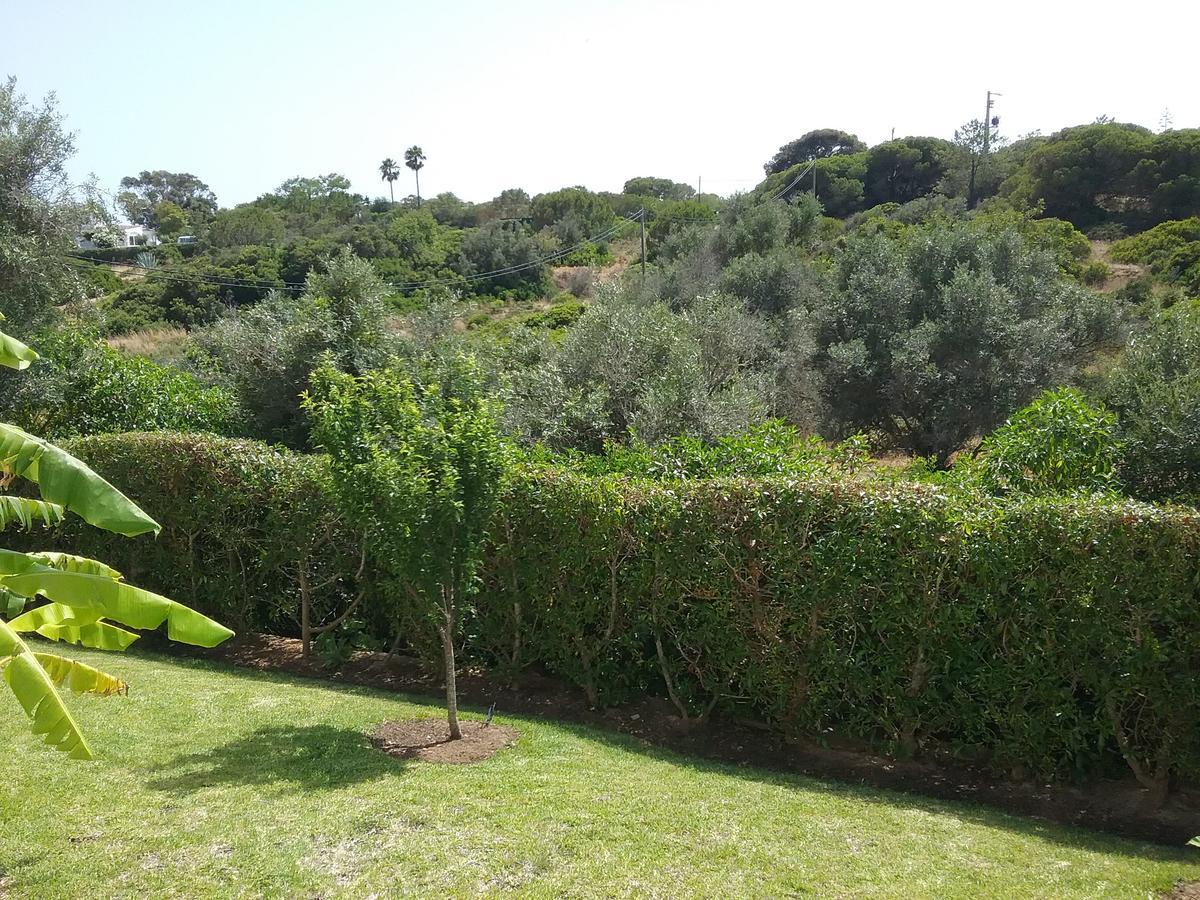 Bed and Breakfast Casa Cereja 'Adults Only' à Albufeira Extérieur photo